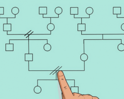 Cómo hacer un genograma y ecomapa