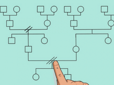 Cómo hacer un genograma y ecomapa