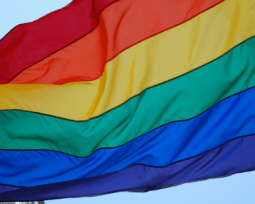 La importancia de incluir la perspectiva LGBTQ+ una Pericial