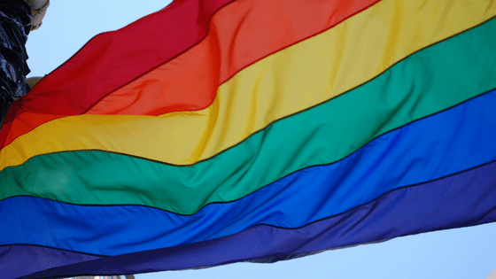 lgtbi pericial