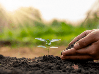 Formación Exprés | Resiliencia
