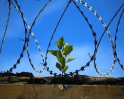 Trabajo Social Penitenciario