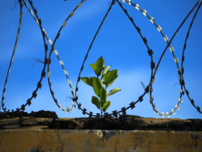 Trabajo Social Penitenciario