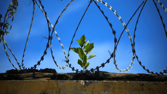 Trabajo Social Penitenciario