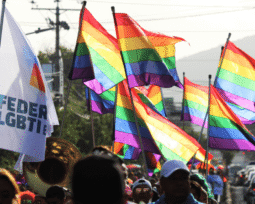 Máster en Estudios LGBTIQ+