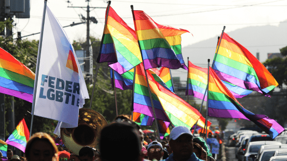 master lgbti