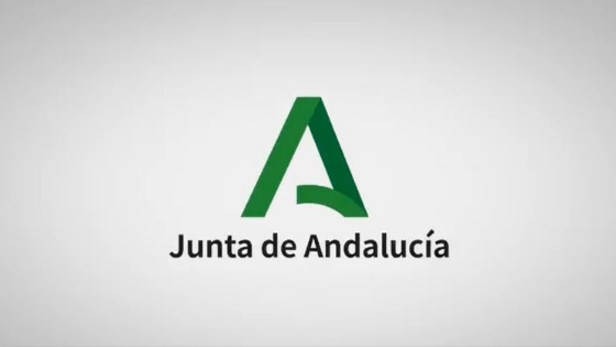 trabajo social junta andalucía